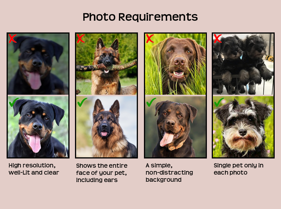 Personalised Pet Portrait Necklace