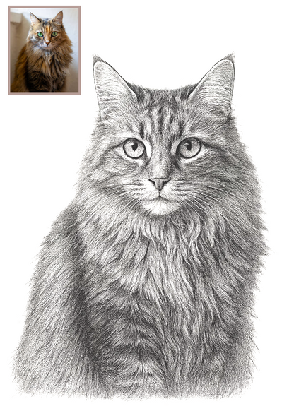 Pet Portrait Sketch (Digital Art)